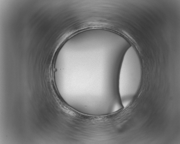 X0000051240891200506170813