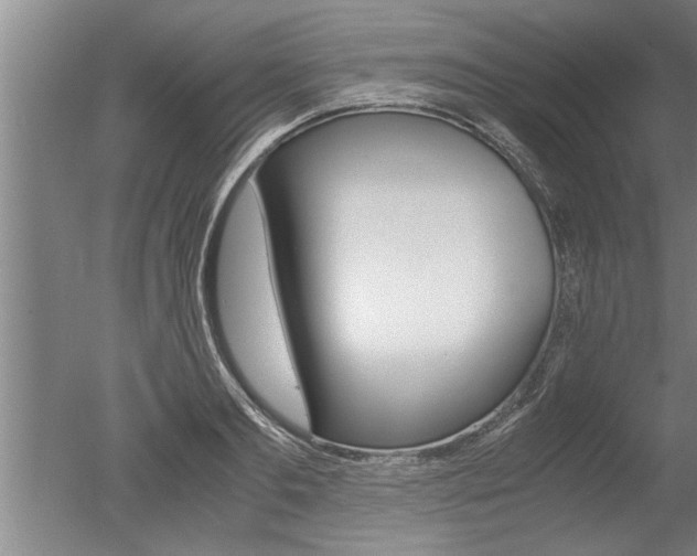 X0000051240893200506170813