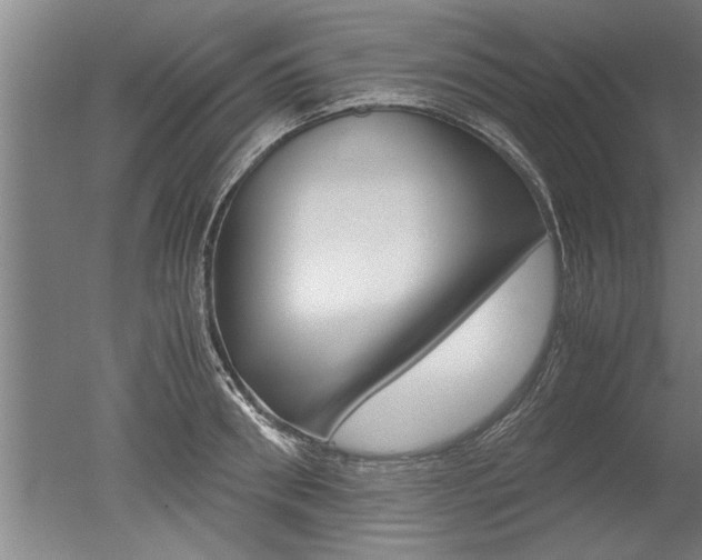 X0000051240898200506170813