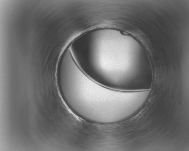 X0000051240902200506170813