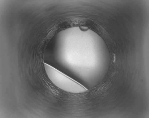 X0000051240915200506170812