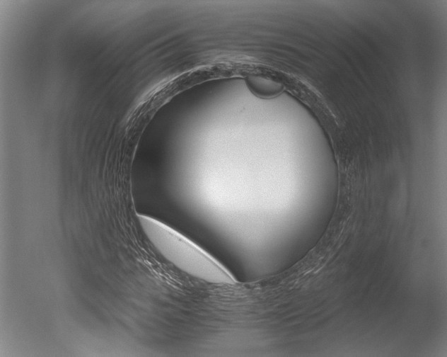 X0000051240919200506170812