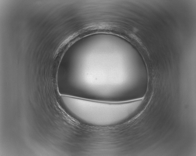 X0000051240922200506170812