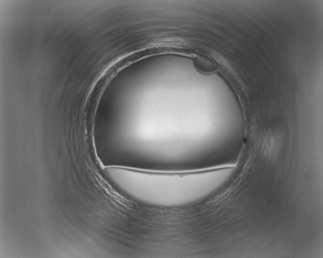 X0000051240923200506170812