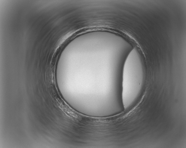 X0000051240925200506170812