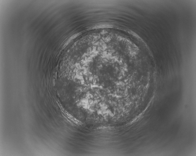 X0000051240929200506170812