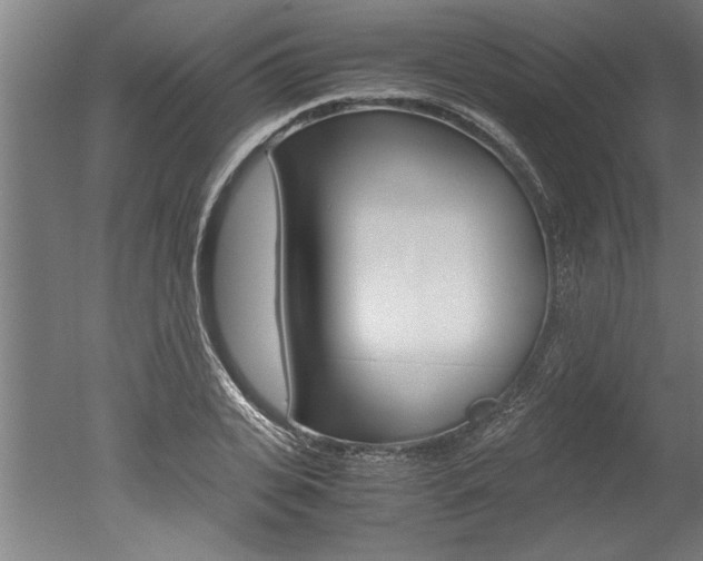 X0000051240935200506170812