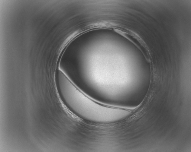 X0000051240946200506170812