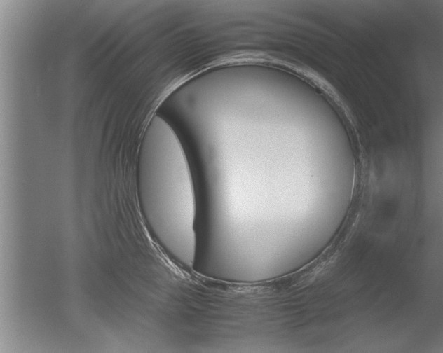 X0000051240953200506170812