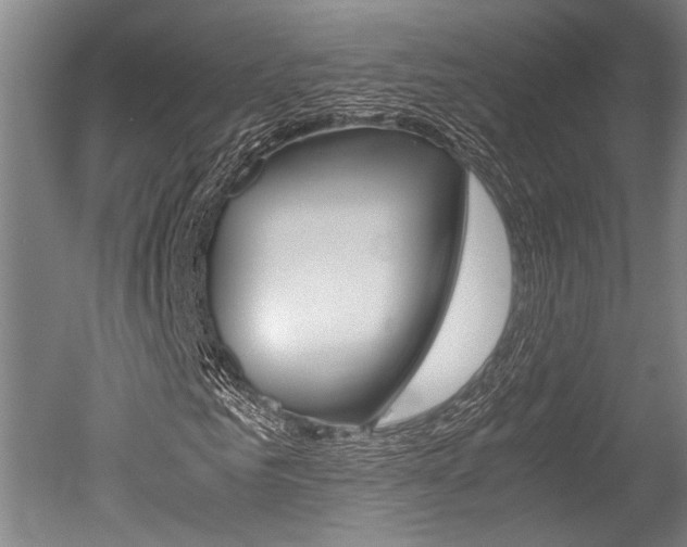 X0000051240961200506170812