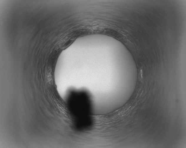 X0000051240963200506170811