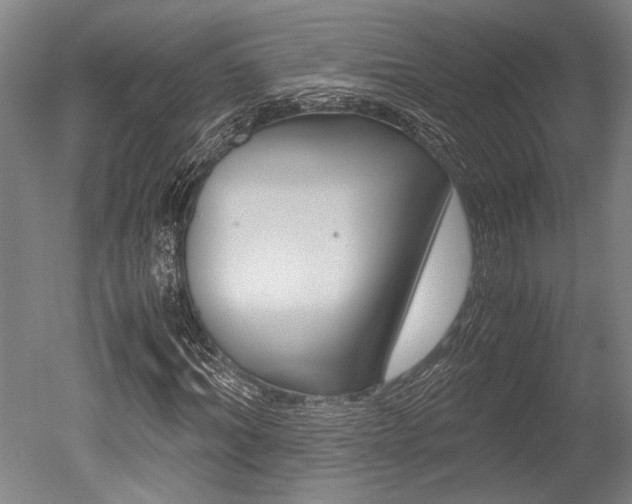 X0000051240964200506170811