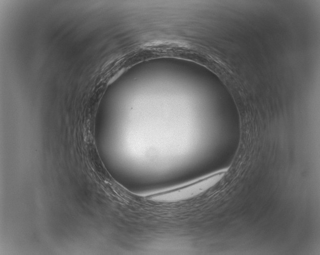 X0000051240965200506170811