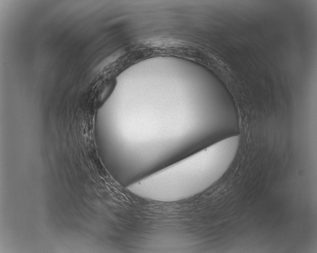 X0000051240966200506170811