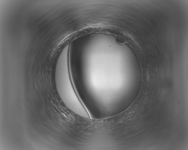 X0000051240968200506170811