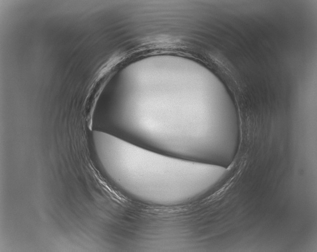 X0000051240970200506170811