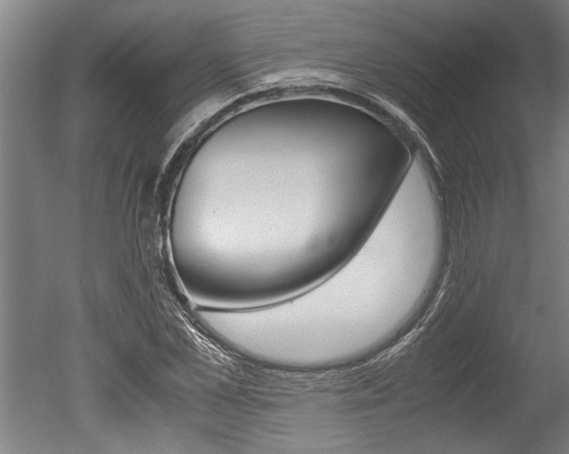 X0000051240973200506170811