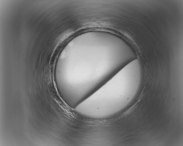 X0000051240974200506170811