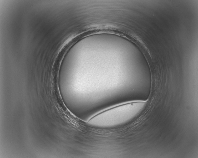 X0000051240975200506170811