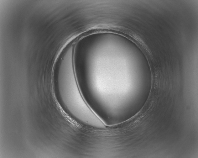 X0000051240976200506170811