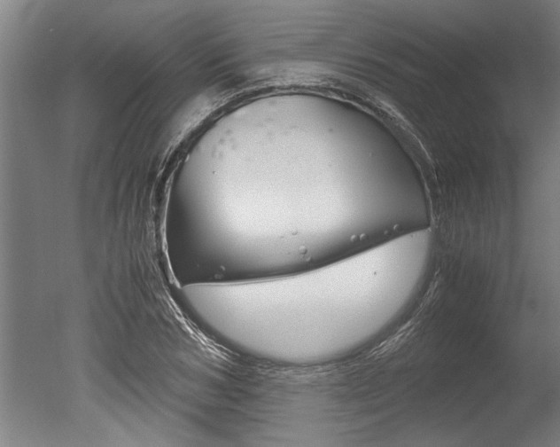 X0000051240978200506170811