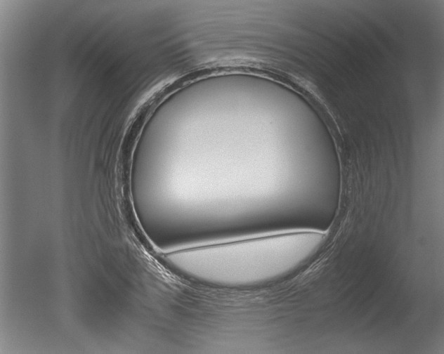 X0000051240979200506170811