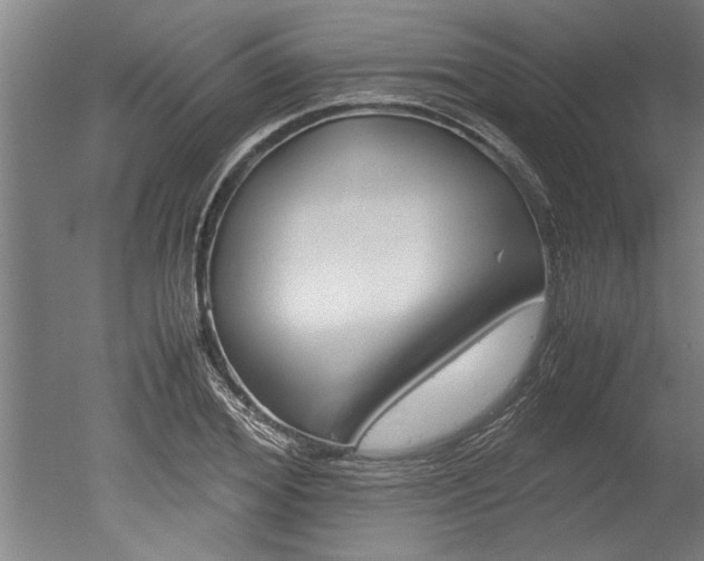 X0000051240980200506170811