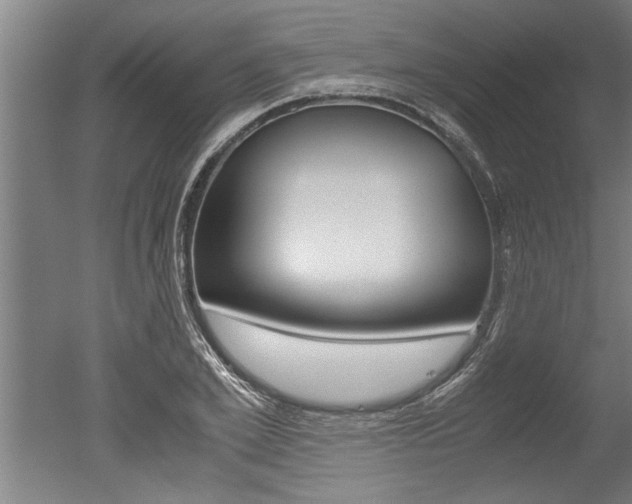 X0000051240981200506170811