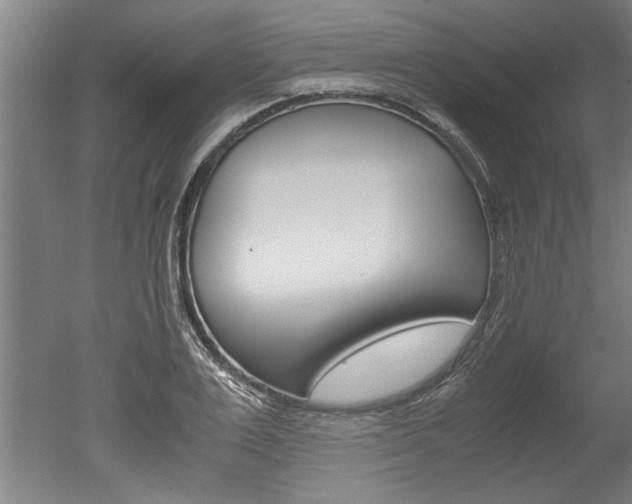 X0000051240983200506170811