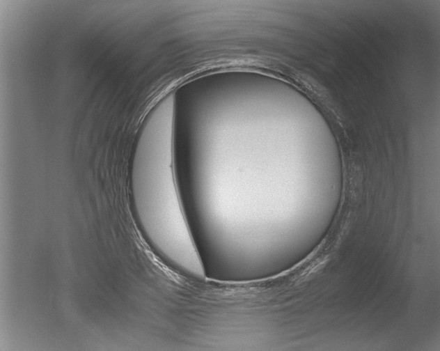 X0000051240985200506170811
