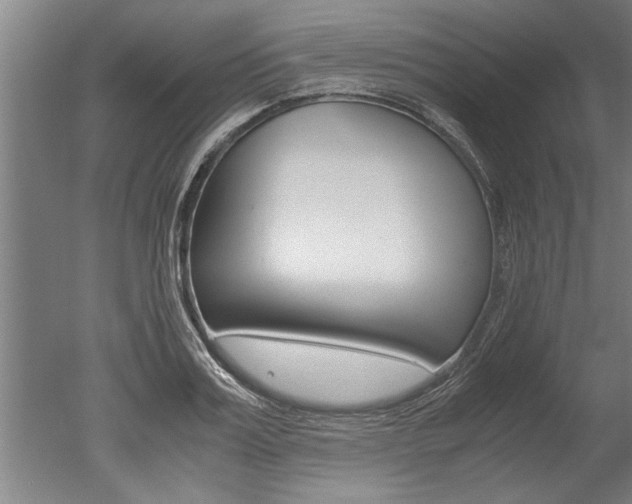 X0000051240987200506170811