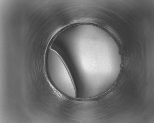 X0000051240988200506170811
