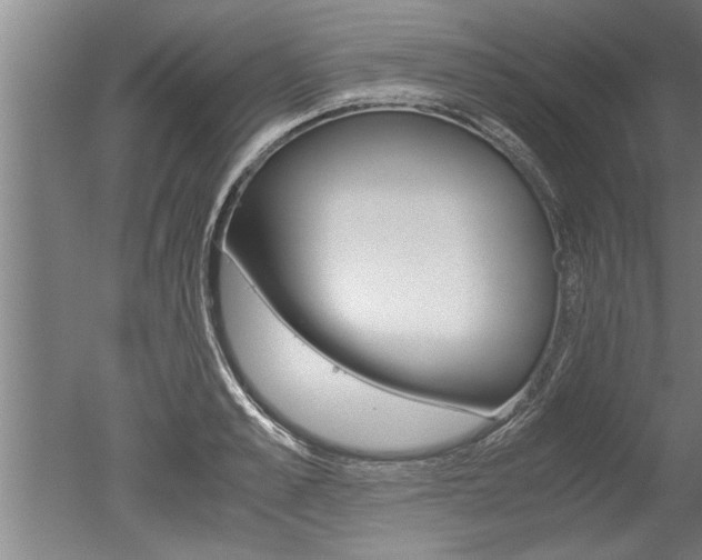 X0000051240989200506170811