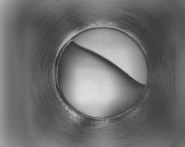 X0000051240990200506170811