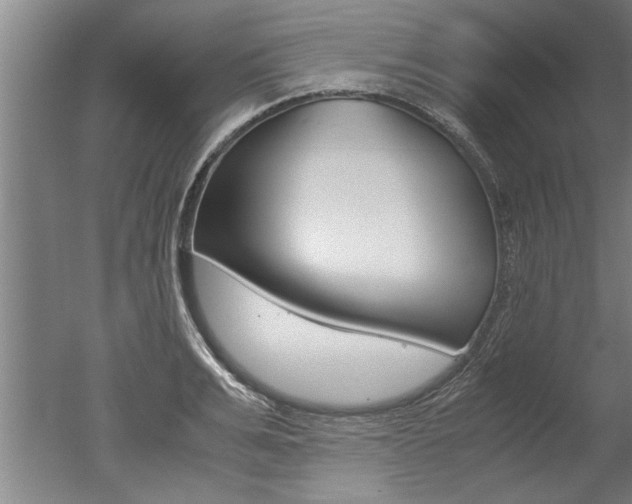 X0000051240991200506170811