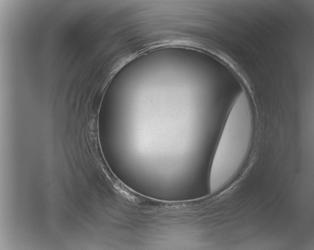 X0000051241001200506170811