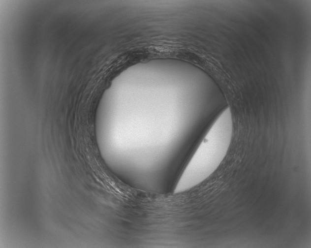 X0000051241009200506170810