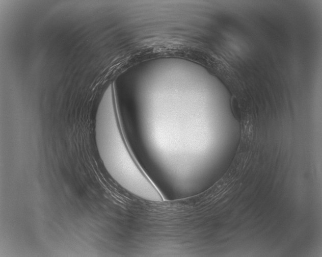 X0000051241012200506170810