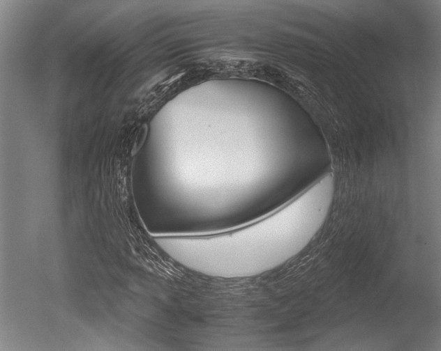X0000051241013200506170810
