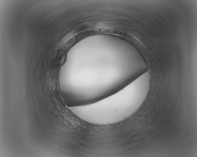 X0000051241015200506170810