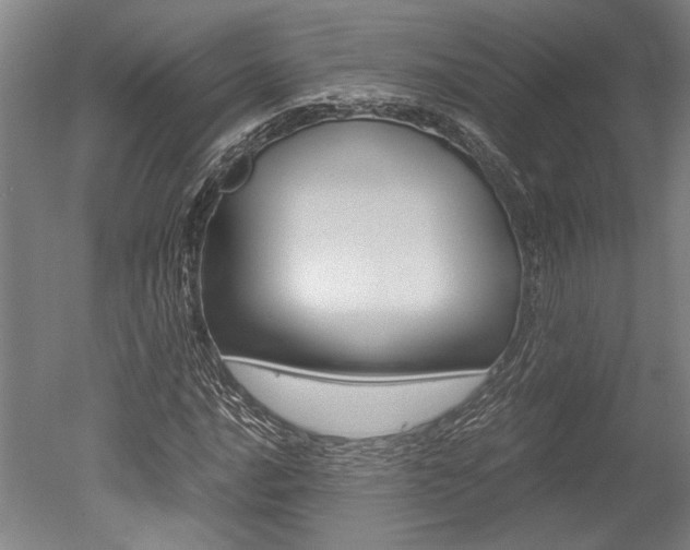 X0000051241016200506170810