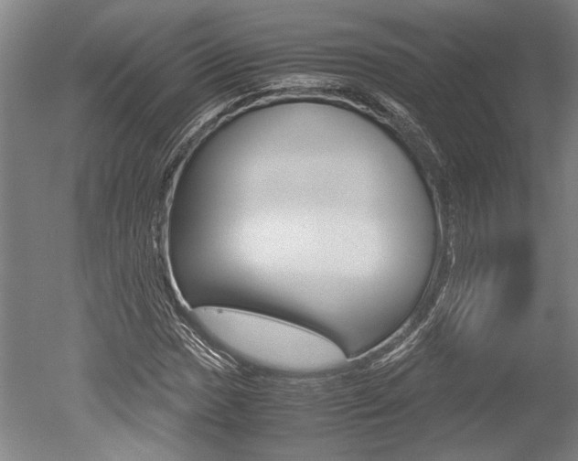 X0000051241017200506170810