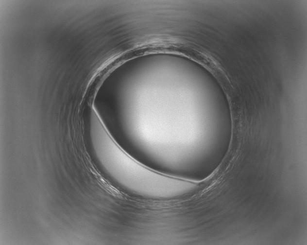 X0000051241018200506170810