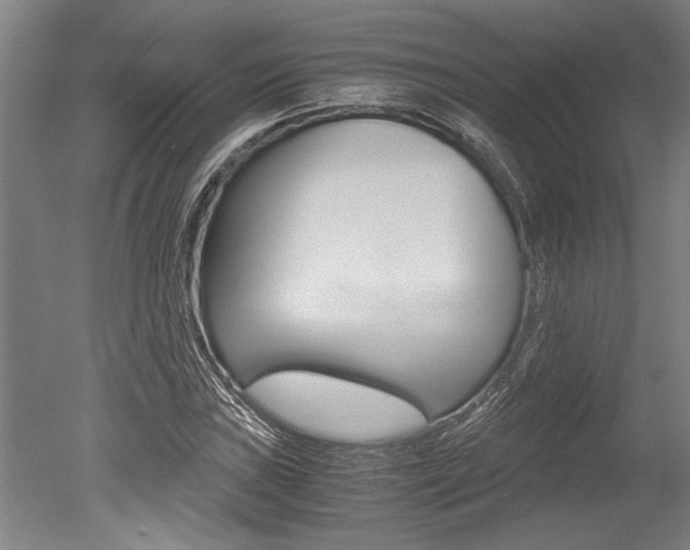 X0000051241019200506170810