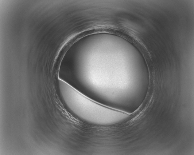 X0000051241021200506170810