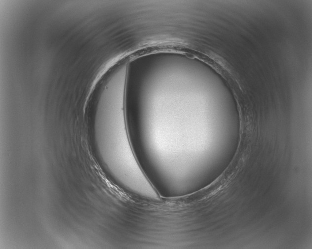 X0000051241022200506170810