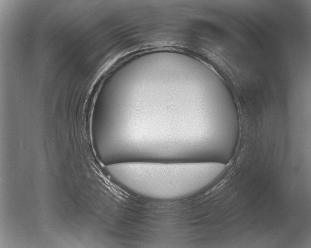 X0000051241023200506170810