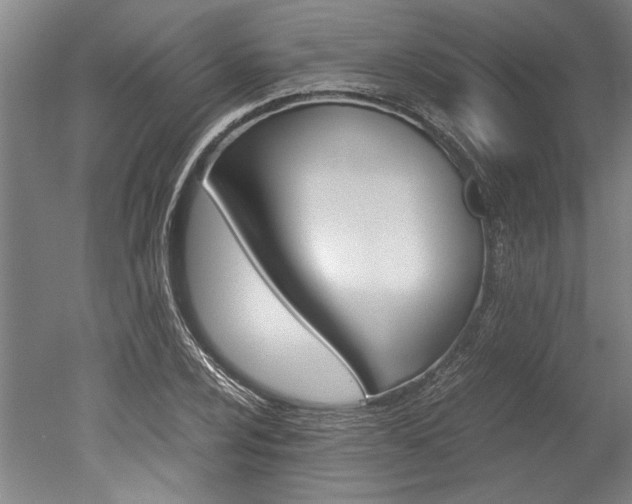 X0000051241024200506170810
