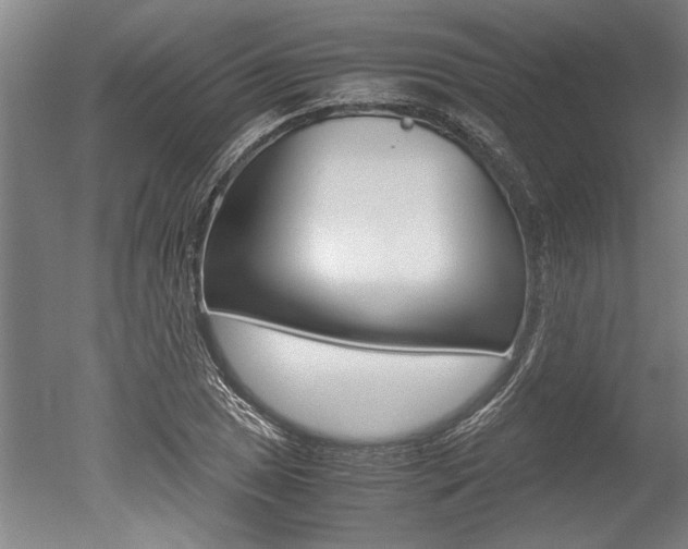 X0000051241025200506170810