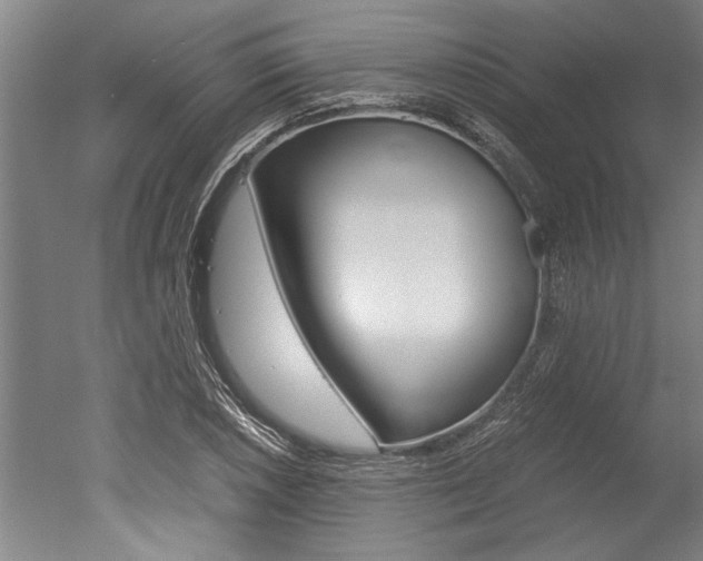 X0000051241026200506170810